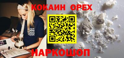 кокс Кингисепп