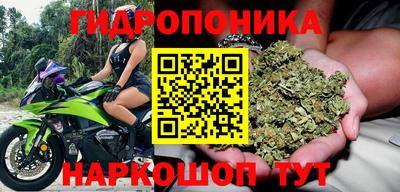 гашик Кимры