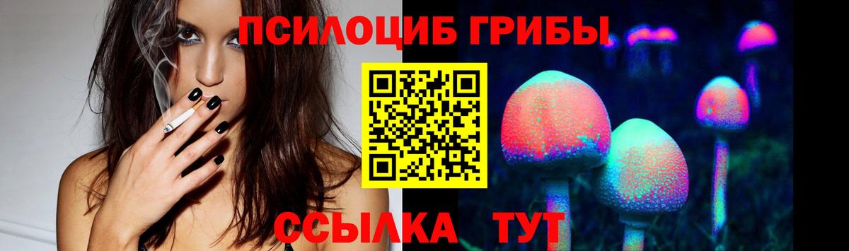 Псилоцибиновые грибы Cubensis  Вход с VPN  Котовск  Псилоцибиновые грибы мицелий 
